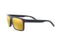 Arnette Goemon Naočare za sunce AN 4267 25875A