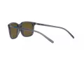 Arnette C'roll Naočare za sunce AN 4316 278655