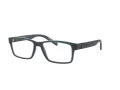 Arnette Leonardo Naočare AN 7179 2658
