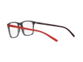 Arnette Frogface Naočare AN 7209 2800