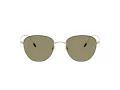 Giorgio Armani Naočare za sunce AR 6048 30132A