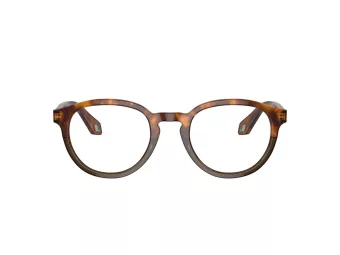 Giorgio Armani Naočare AR 7248 5988