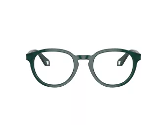 Giorgio Armani Naočare AR 7248 6044