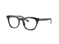 Giorgio Armani Naočare AR 7251 5875