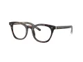 Giorgio Armani Naočare AR 7251 5879