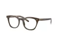 Giorgio Armani Naočare AR 7251 6040