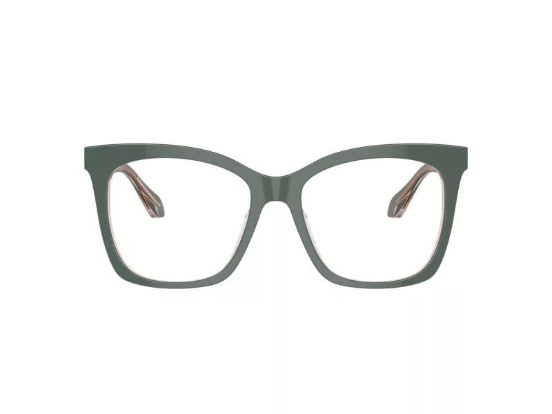 Giorgio Armani Naočare AR 7254U 6076