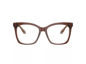 Giorgio Armani Naočare AR 7254U 6090