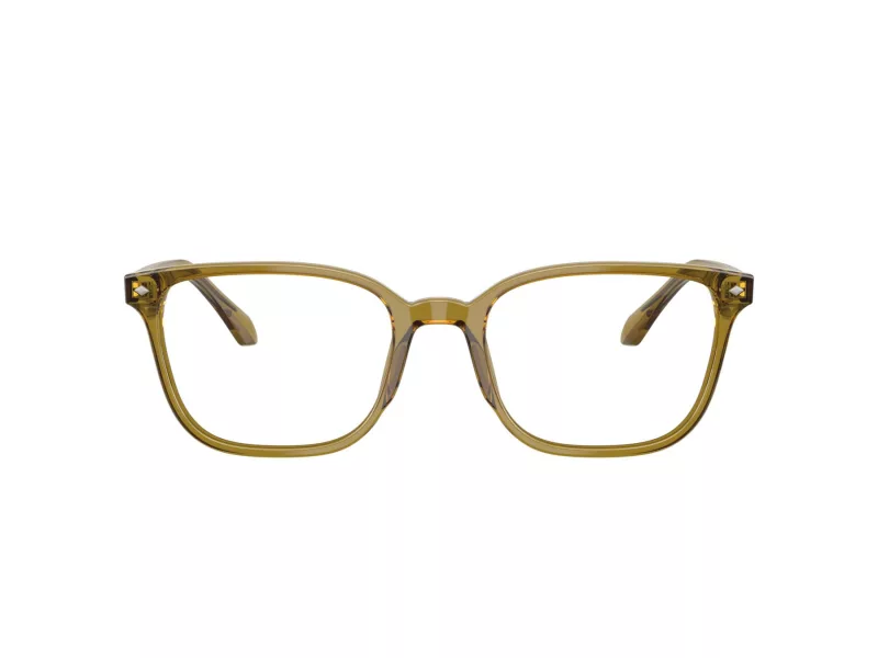 Giorgio Armani Naočare AR 7265 6172
