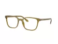 Giorgio Armani Naočare AR 7265 6172