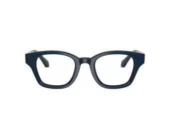 Giorgio Armani Naočare AR 7274 6223