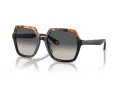 Giorgio Armani Naočare za sunce AR 8193U 587519