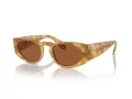 Giorgio Armani Naočare za sunce AR 8216 597973