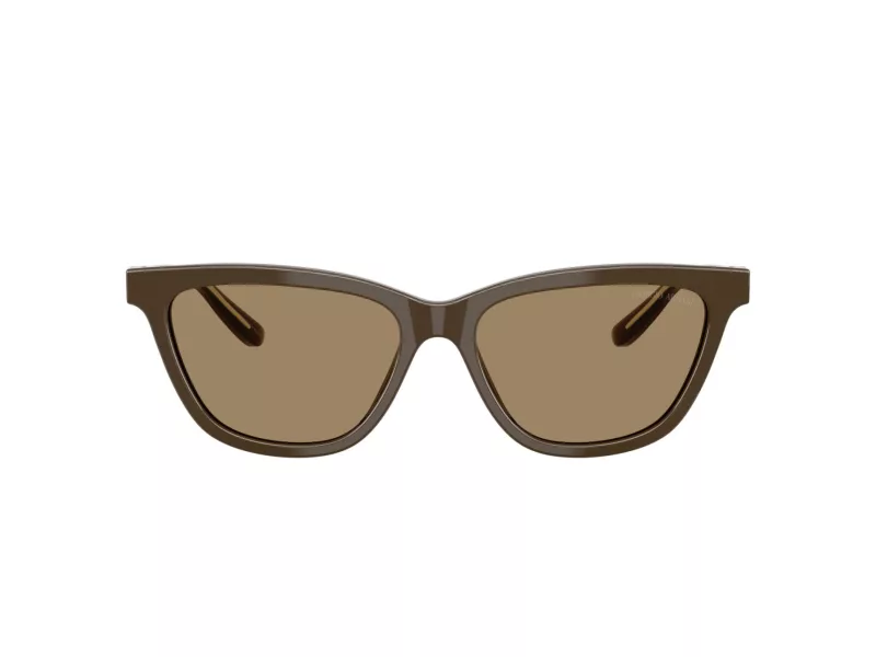 Giorgio Armani Naočare za sunce AR 8221 595753