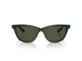 Giorgio Armani Naočare za sunce AR 8221 617331