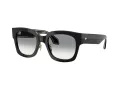 Giorgio Armani Naočare za sunce AR 8223 500111