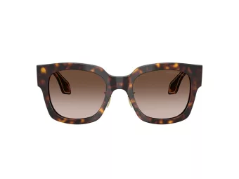 Giorgio Armani Naočare za sunce AR 8223 502613