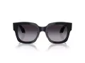 Giorgio Armani Naočare za sunce AR 8223 61608G