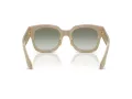 Giorgio Armani Naočare za sunce AR 8223 61618E