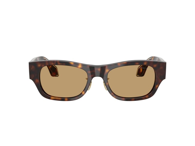 Giorgio Armani Naočare za sunce AR 8224 502673