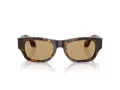Giorgio Armani Naočare za sunce AR 8224 502673