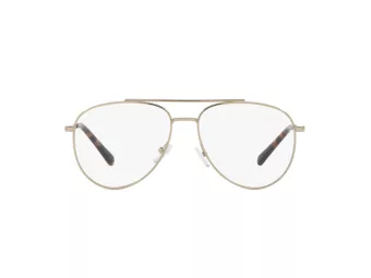 Armani Exchange Naočare AX 1055 6110