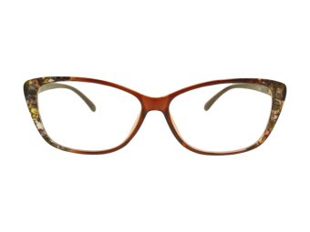 Berkeley Naočare BB 1793 Brown