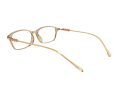 Berkeley Naočare BB T5005 C4