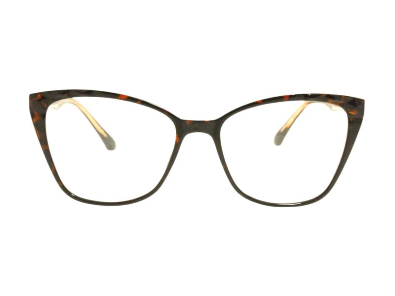 Berkeley Naočare BB TR76003 C2