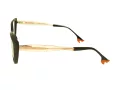 Berkeley Naočare BB TR76013 C1