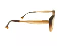 Berkeley Naočare BB TR76013 C8