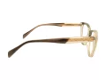 Berkeley Naočare BB TR76045 C2