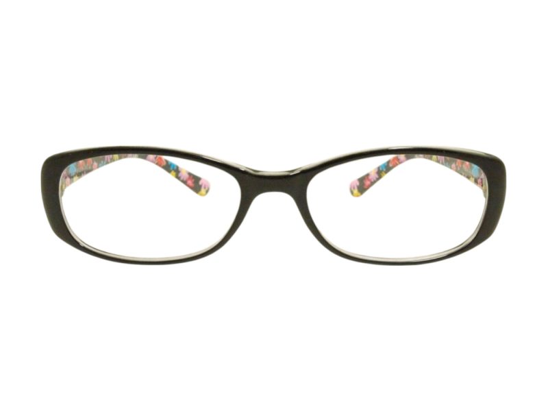 Berkeley naočare za kompjuter BB 5093 C21 51