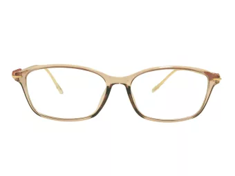 Berkeley naočare za kompjuter BB T5005 C4 55