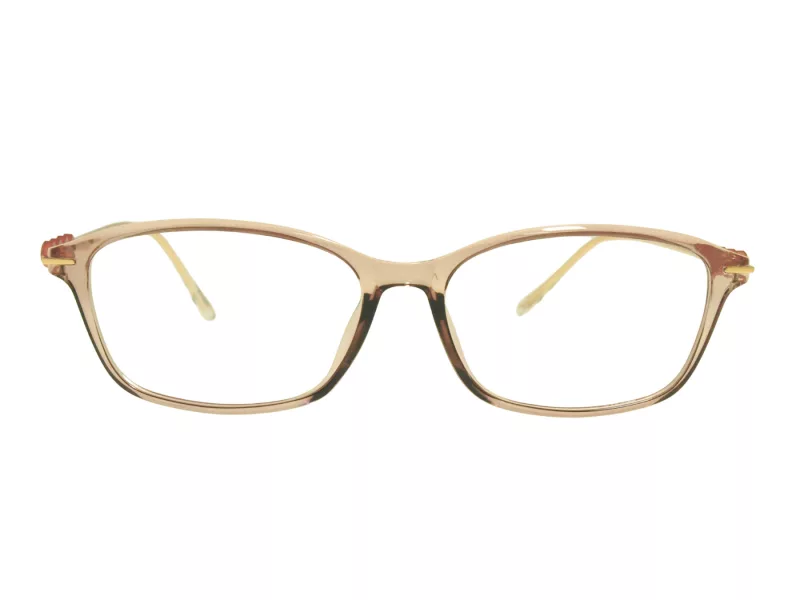 Berkeley naočare za kompjuter BB T5005 C4 55