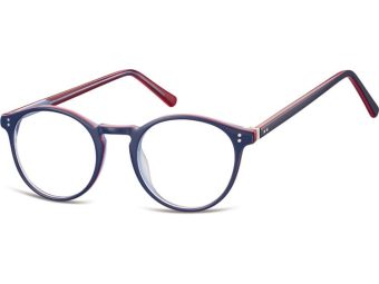 Berkeley naočare za kompjuter AC43 F