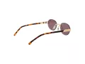 Carrera Naočare za sunce CA 1088/S 06J/70