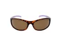 Champion Naočare za sunce CUW 5207 C02