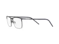 Dolce & Gabbana Naočare DG 1309 1358