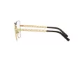 Dolce & Gabbana Naočare DG 1346 1311