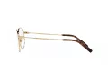 Dolce & Gabbana Naočare DG 1349 02