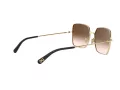 Dolce & Gabbana Naočare za sunce DG 2242 02/13