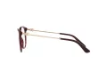 Dolce & Gabbana Naočare DG 3363 3091