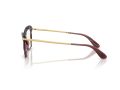 Dolce & Gabbana Naočare DG 5025 3045