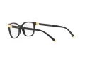 Dolce & Gabbana Naočare DG 5036 501