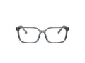 Dolce & Gabbana Kids Naočare DX 3003 3482