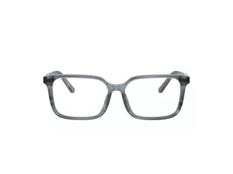Dolce & Gabbana Kids Naočare DX 3003 3482