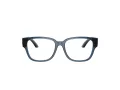 Dolce & Gabbana Kids Naočare DX 5006 3009