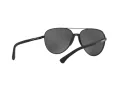 Emporio Armani Naočare za sunce EA 2059 320387