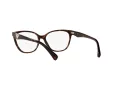 Emporio Armani Naočare EA 3172 5234